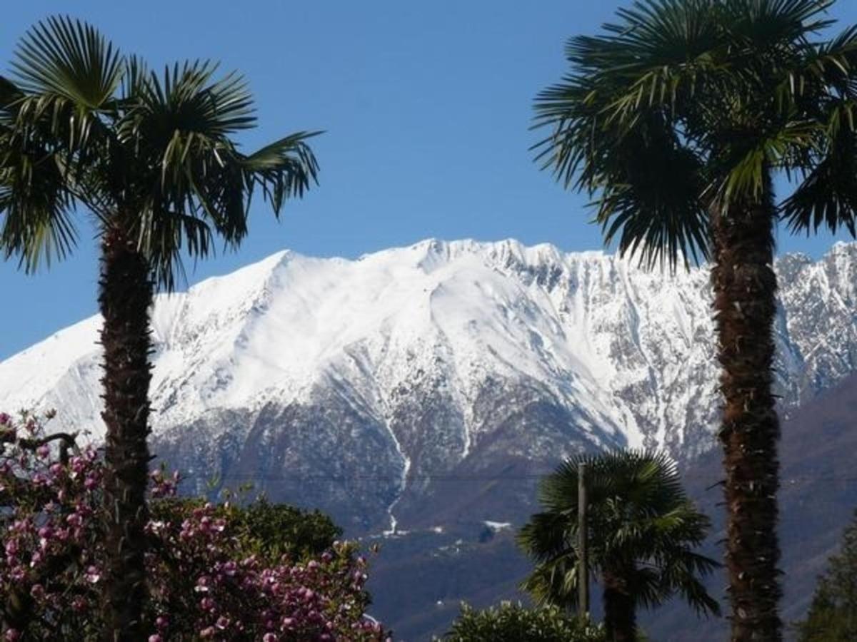 Apartment Casa Adelizia - Erdgeschoss Ascona